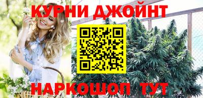 сатива Заволжье