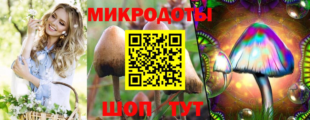 Лянтор  цена наркотик  Вход с VPN  Псилоцибиновые грибы Cubensis 